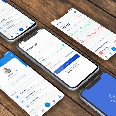 PayZ-App Design