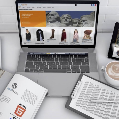 Flycents-Web development